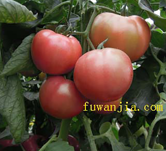 ��(y��u)��119-���ѷN��-���f��