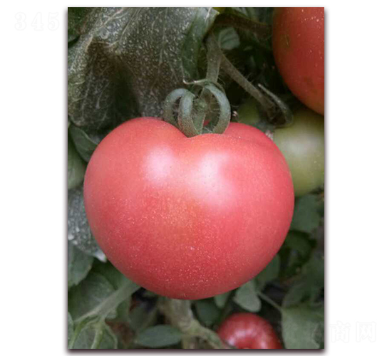 ��(y��u)��180-���ѷN��-���f(w��n)��