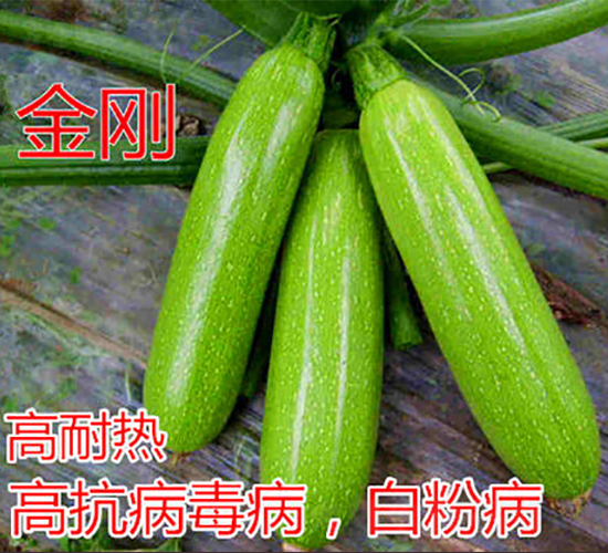 ����-�����J�N��-�|�Z�r(n��ng)�I(y��)