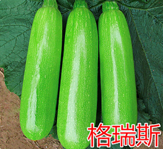 ����˹-�����J�N��-�|�Z�r(n��ng)�I(y��)