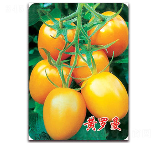 �S�_��-���ҷ��ѷN��-�|�Z�r(n��ng)�I(y��)