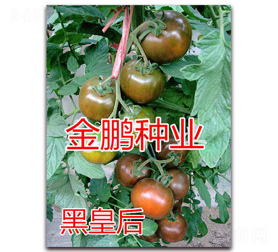 �ڻʺ�-���ҷ��ѷN��-�|�Z�r(n��ng)�I(y��)