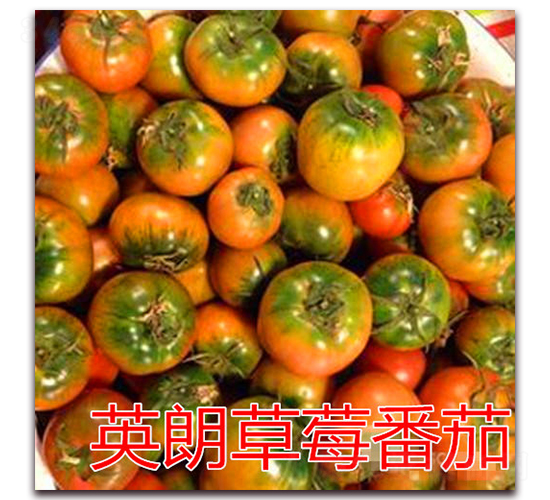 Ӣ�ʲ�ݮ���ѷN��-�|�Z�r(n��ng)�I(y��)