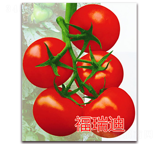 ����ϡ����͟ΌTY�t�����ѷN��-�|�Z�r(n��ng)�I(y��)