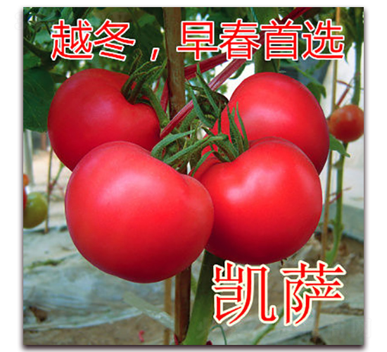 �P�_-�۹����ѷN��-�|�Z�r(n��ng)�I(y��)