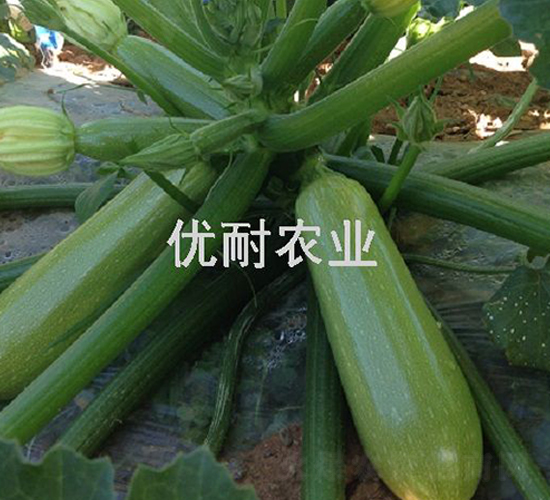 ��(y��u)����̖-�����J�N��-��(y��u)���r(n��ng)�I(y��)