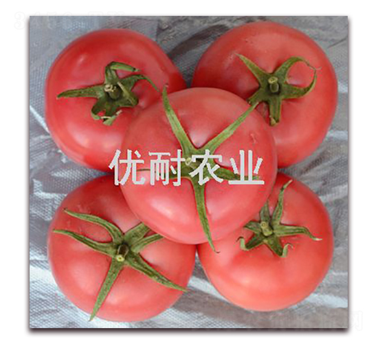 �����R��-���ѷN��-��(y��u)���r�I(y��)