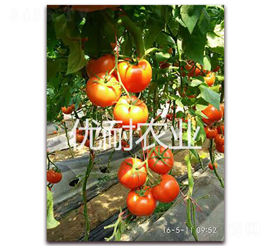 ��(y��u)�t1513-���ѷN��-��(y��u)���r(n��ng)�I(y��)