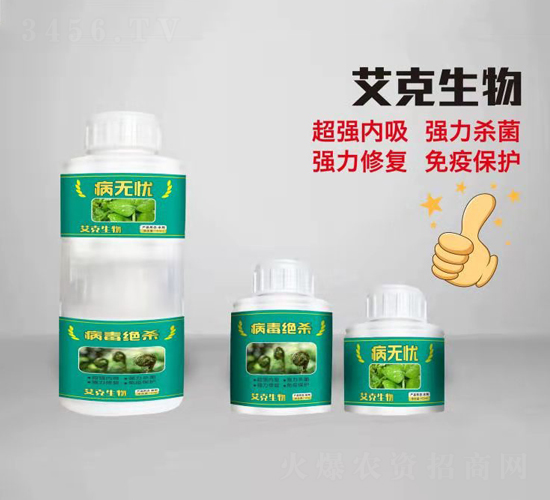 ���o�n-��������