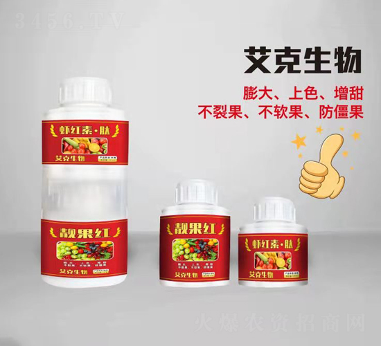 �r�t�ء���-��������