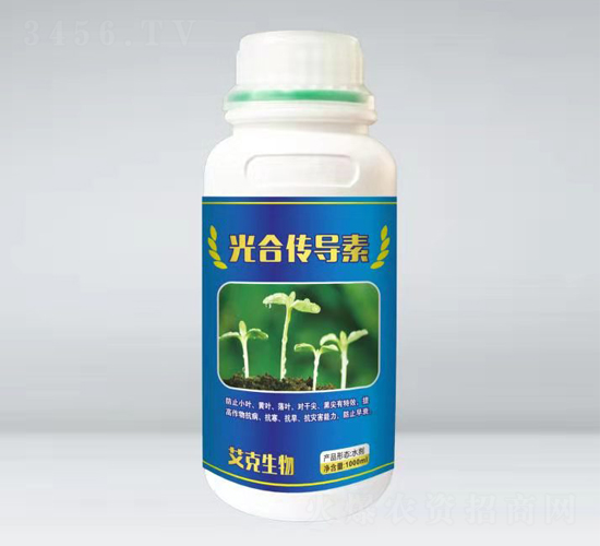 ��ς����أ�ƿ��-��������