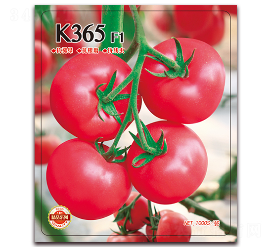 K365-�۹����ѷN��-����