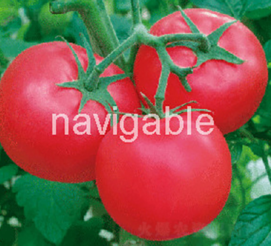 �W���R-�۹����ѷN��-����