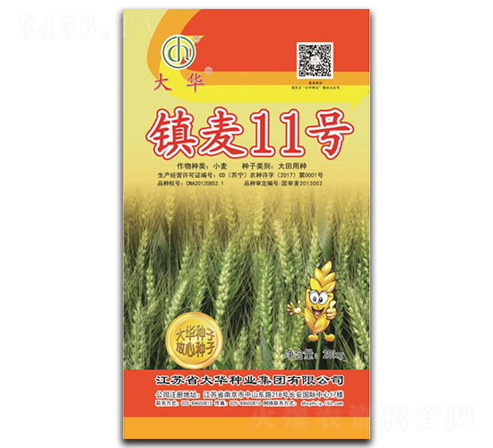 �(zh��n)��11̖-С���N��-���A�N�I(y��)