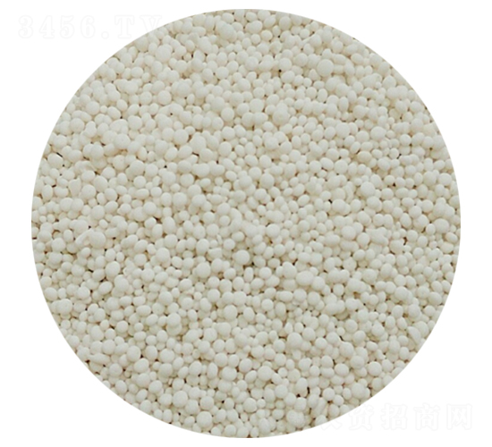 ��������-��׿����