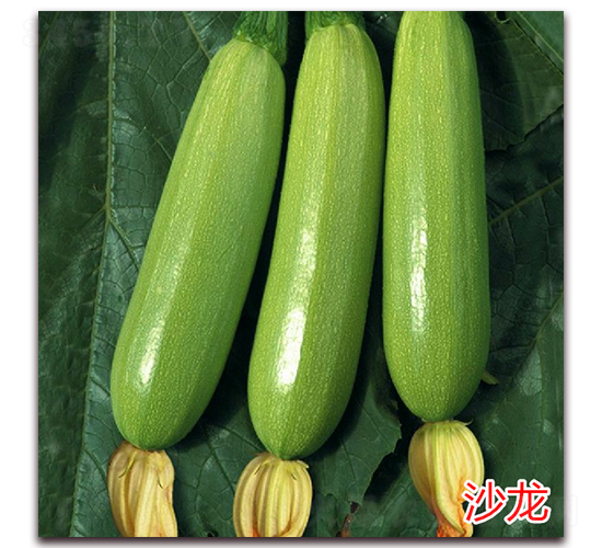 ɳ��-�����J�N��-�f(w��n)���r(n��ng)�I(y��)