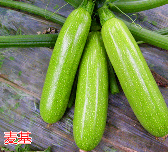 ����-�����J�N��-�f���r(n��ng)�I(y��)