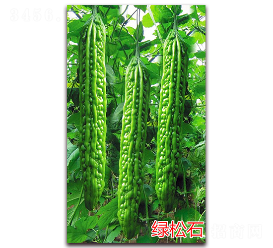 �G��ʯ-��ϷN��-�f���r(n��ng)�I(y��)