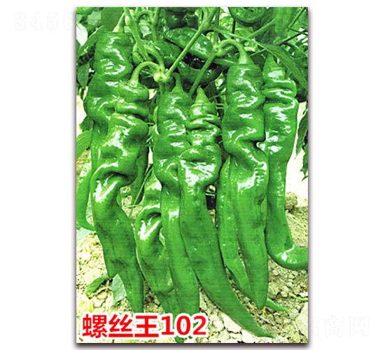 �ݽz��102-�����N��-�f���r(n��ng)�I(y��)