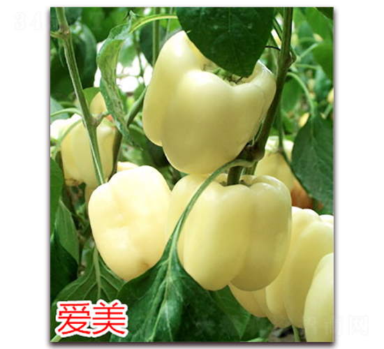 ��(��i)��-�����N��-�f(w��n)���r(n��ng)�I(y��)