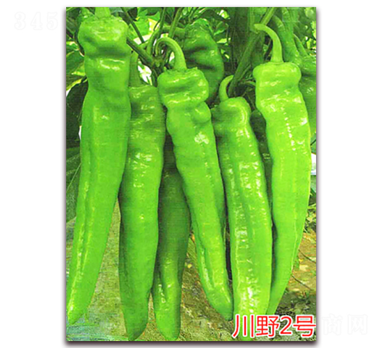 ��Ұ2̖-�����N��-�f���r(n��ng)�I(y��)