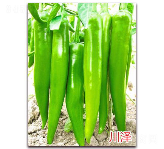 ����-�����N��-�f���r(n��ng)�I(y��)