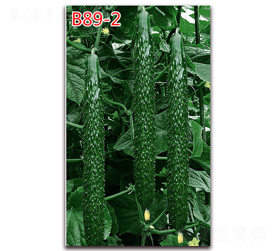 B89-2-�S�ϷN��-�f���r(n��ng)�I(y��)