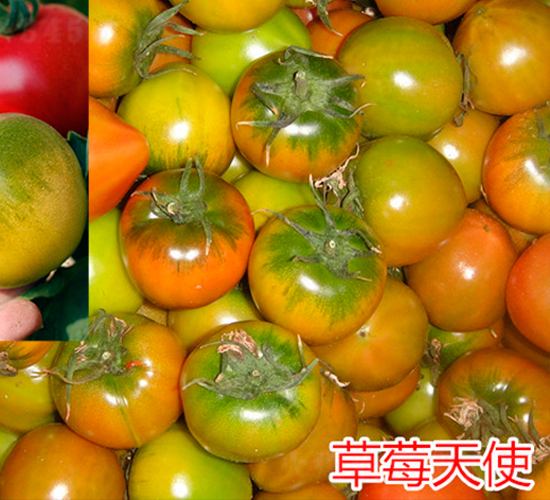 ��ݮ��ʹ-����С���t���N��-�f���r(n��ng)�I(y��)