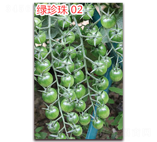 �G����02-����С���t���N��-�f���r(n��ng)�I(y��)