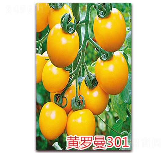 �S�_��301-����С���t���N��-�f(w��n)���r(n��ng)�I(y��)