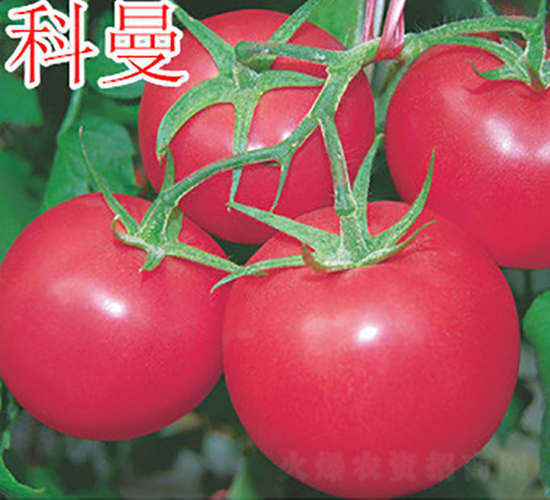 ����-�۹����ѷN��-�f���r(n��ng)�I(y��)