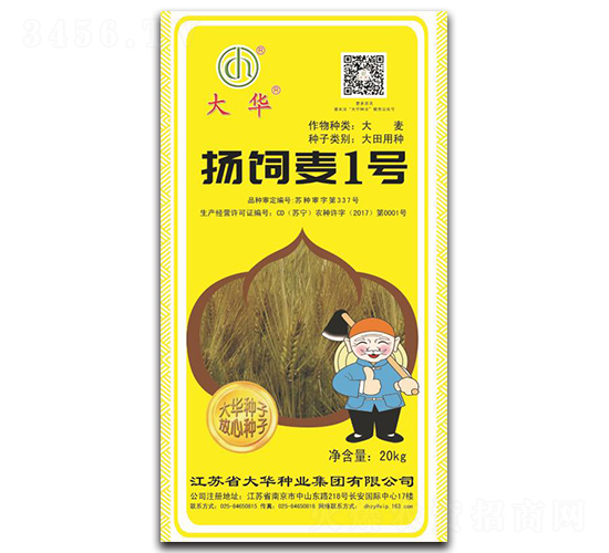 �P(y��ng)���1̖-�����N��-���A�N�I(y��)