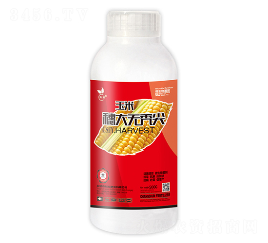 �������o�d��-��˲