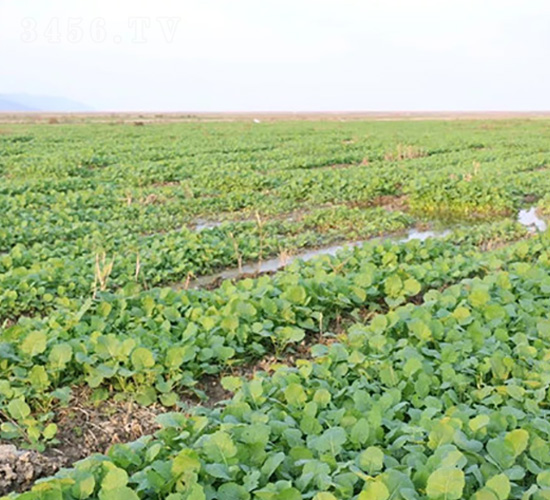 �}�A�ظ�����-�����S