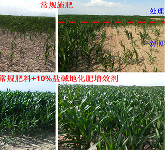 �}�A�ظ�����Ч���D-�����S