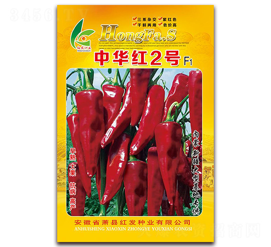 ���A�t2̖(h��o)-�����N��-�t�l(f��)�N�I(y��)