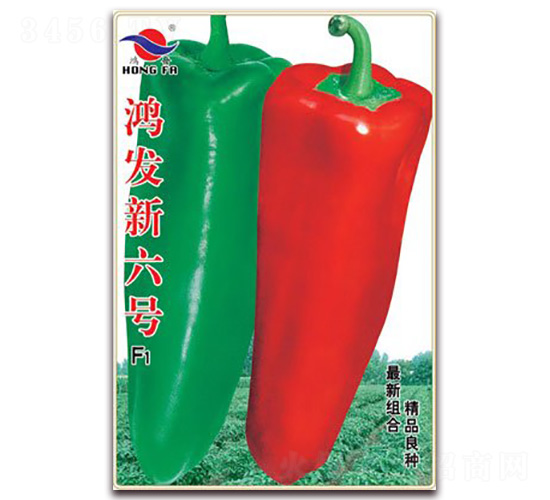 ���l(f��)����̖(h��o)-�����N��-�t�l(f��)�N�I(y��)