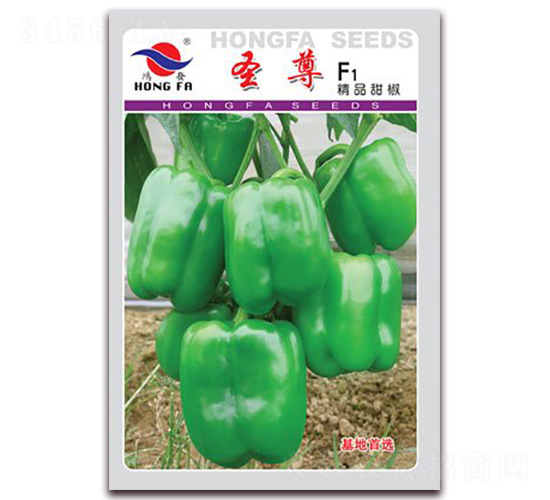 ʥ��-�����N��-�t�l(f��)�N�I(y��)