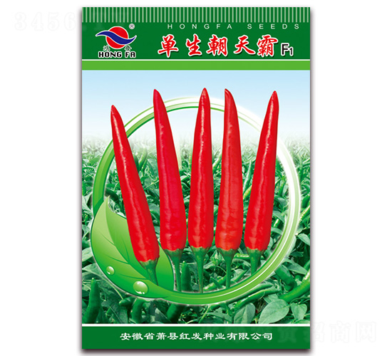 ���������-�����N��-�t�l(f��)�N�I(y��)