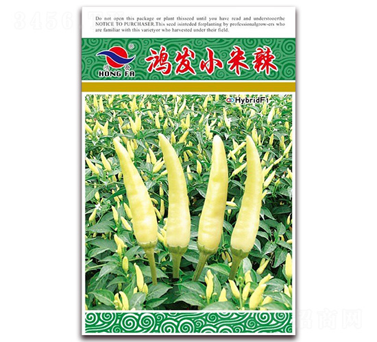 ���l(f��)С����-�����N��-�t�l(f��)�N�I(y��)