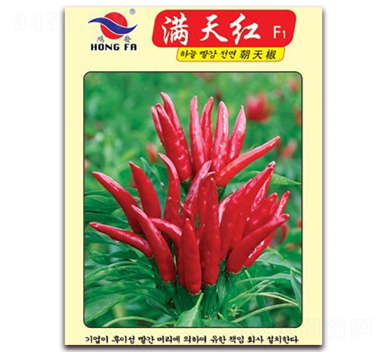 �M��t-�����N��-�t�l(f��)�N�I(y��)