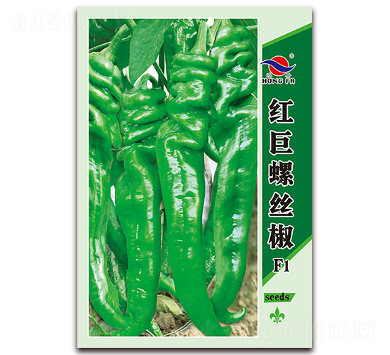 �t���ݽz��-�����N��-�t�l(f��)�N�I(y��)