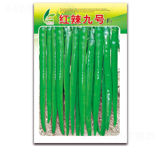 �t����̖-�����N��-�t�l(f��)�N�I(y��)