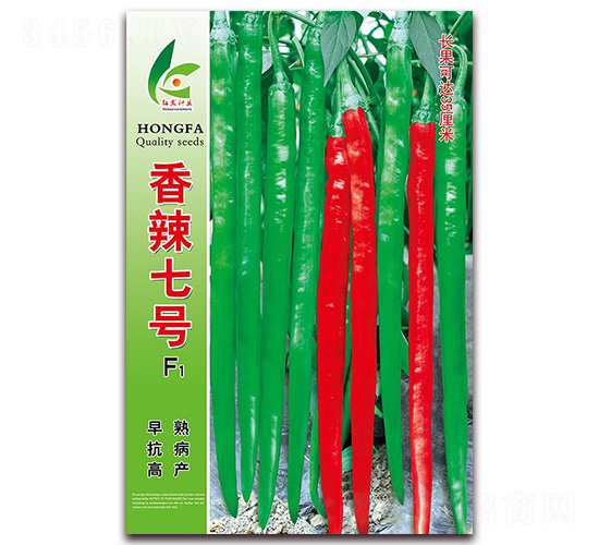 ������̖-�����N��-�t�l(f��)�N�I(y��)