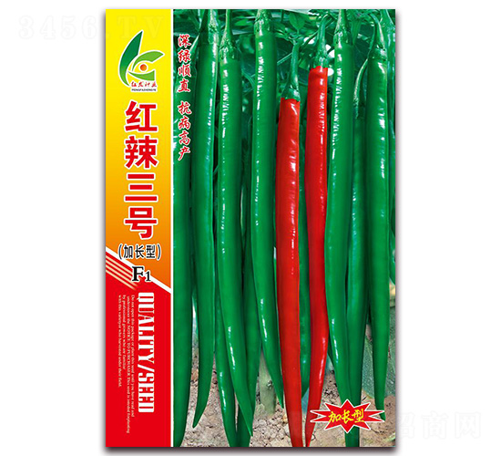 �t����̖-�����N��-�t�l(f��)�N�I(y��)