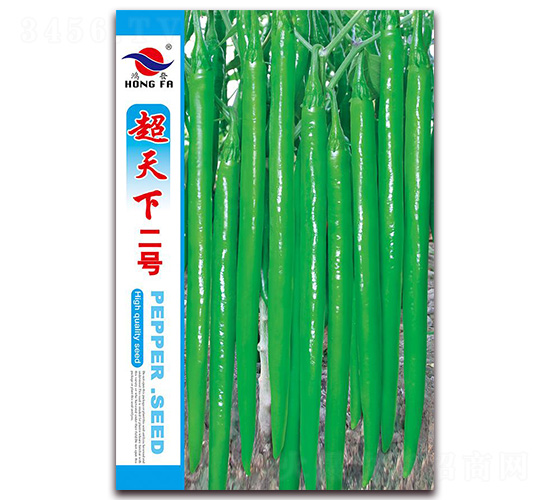 �����¶�̖(h��o)-�����N��-�t�l(f��)�N�I(y��)