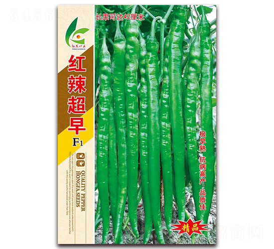 �t������-��(xi��n)���N��-�t�l(f��)�N�I(y��)