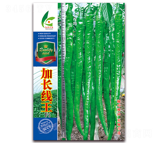 ���L(zh��ng)����-�����N��-�t�l(f��)�N�I(y��)