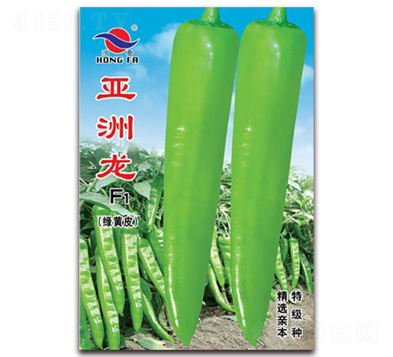 ������F1-�⽷�N��-�t�l(f��)�N�I(y��)