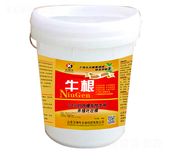 ������-ţ��-����ţ